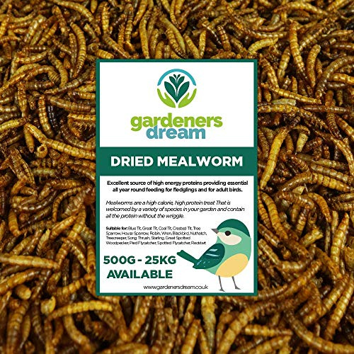 GardenersDream Vermi Secchi - Trattamento alimentare Nutriente per Uccelli Selvatici del Giardino (1KG)