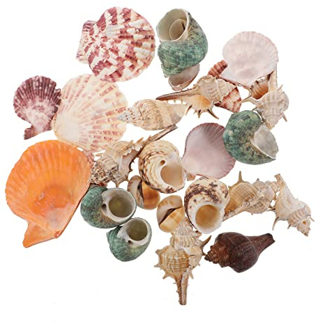 Holibanna Simulierte Muschelschale Aquarium Dekoration 200g Kunststoff Realistische Conch Ornament Für Süß Und Salzwasser Aquarien Landschaftszubehör