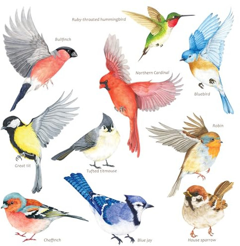 DECOWALL CDS2-9001 10 stück Vögel Fensterbilder Fensteraufkleber Fenster Frühling Fensterdeko Vogelschlag schutz Fenstersticker Wiederverwendbare