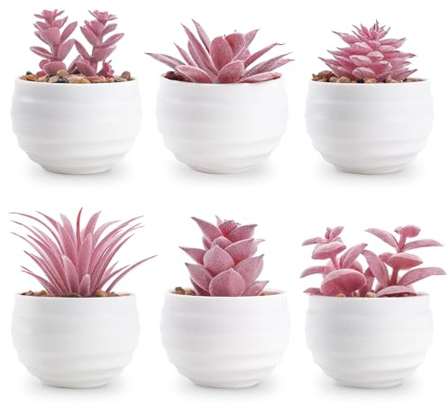 Der Rose Set of 6 Succulents Plants Artificial in Pots Small Fake Plants for Bedroom Aesthetic Living Room Office Shelf Bathroom Decor