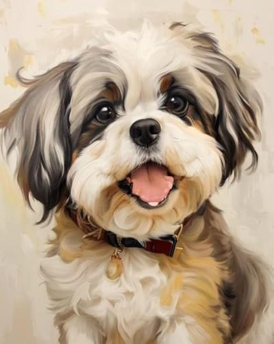 ZMHZMY Malen nach Zahlen Kit für Erwachsene, Havaneser-Hund,Poster Kunst Moderne Leinwand Ölgemälde Home Decor,40x50cm