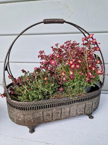 Deko Tablett mit Henkel Eisen Antik Grün 27 oder 32,5 cm, Größe:Klein 27x12xH26cm