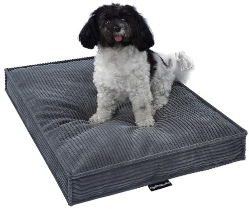 MyBestBuddy Hundekissen Visco grau 80x60 cm L mit POSO-Cord Stoff mit Viscoseschaum und Komfortschaum-Flocken, 40°C waschbar - Hundebett/Haustierbett für mittelgroße Hunde, 80 x 60 cm