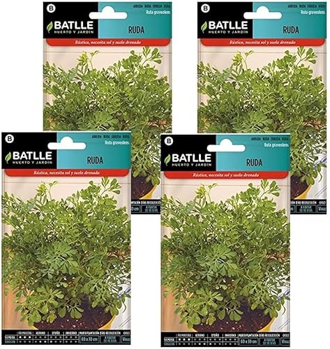 Pack 4 Semillas de ruda Semillas Batlle