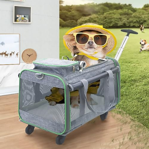 Pucaru Tragbare Haustier-Trolleytasche mit Zwei Fächern, Rollender Haustiertransporter mit Rädern, Faltbar, für Flugcamping im Freien