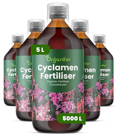 Engrais liquide organique 5x1L pour cyclamen – plantes robustes et floraison optimale – Organifer