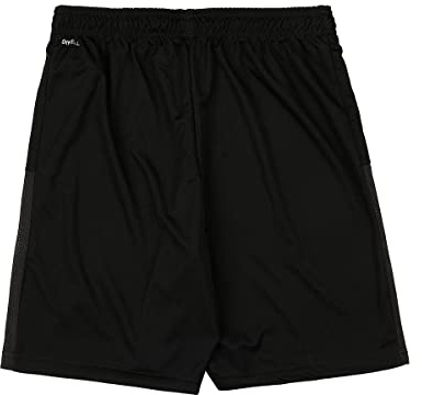 PUMA Jungen Shorts teamGOAL 23 knit jr, Black, 176, 704263