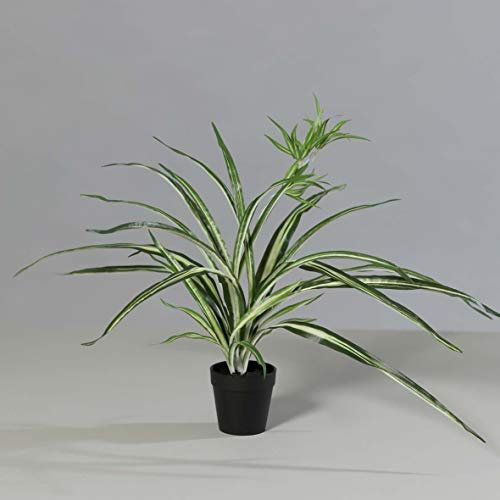 mucplants künstlicher Chlorophytum Grünlilie Kunstpflanze im schwarzen Kunststofftopf ca. 59cm Zimmerpflanze