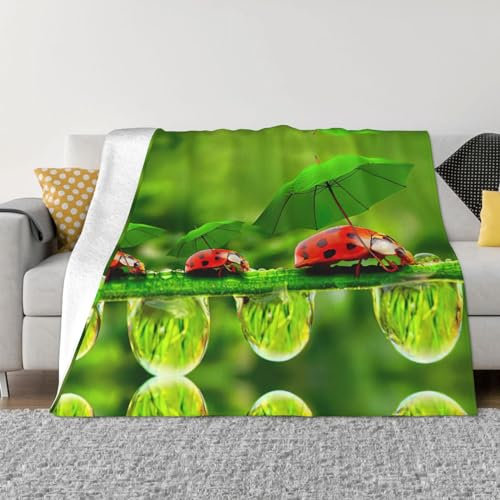 EdWal Lustiger Marienkäfer mit Regenschirmen, warm, gemütlich, Flanelldecke, leichte Decke, geeignet für Sofa, Bett, Camping, Reisen, 60 x 50 cm