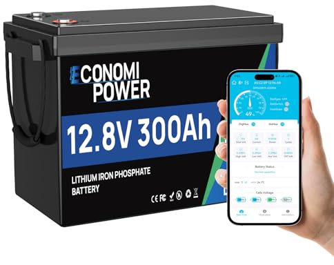 EconomiPower Lifepo4 - Batería de litio de 300 Ah con BMS y 8000+ ciclo bajo, 3840 Wh, batería de litio de 12 V para autocaravana, barco, motor de trolling, off-grid, sistema solar