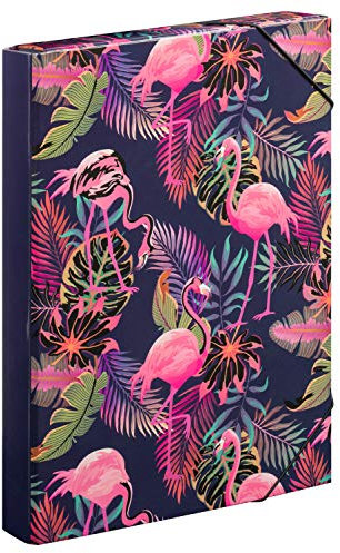 Baagl Heftbox für Schulranzen - Heftmappe A4 für Kinder mit Gummiband und Innenklappen - Sammelmappe, Sammelbox mit Gummizug für Jungen (Flamingo)