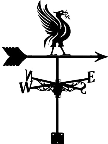 RKYRRKI Roof Install Weathervane Black Metal Wind Vane Classic Liver Bird Wind Direction Indicator with Install Bracket for Barn Gazebo Outdoor Garden Yard Decorate