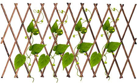 Treillis de Jardin pour légumes | Treillis de Jardin Extensible en Bois – Panneau de clôture pour Plantes grimpantes, Vigne, Lierre, concombres, clématites, Treillis d'extérieur