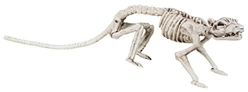 Dildoridoo - Halloween Dekoration Skelett Ratte Party, 1 Stück, 35cm, Beige