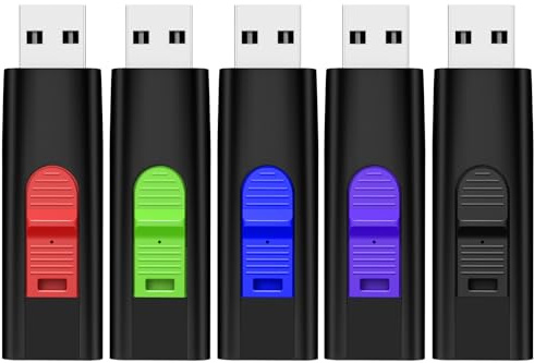 TEWENE Clé USB 16Go Lot de 5 Cles USB 2.0 Flash Drive, 5 Couleurs | Comprend une lanière, Conception à bouton-poussoir-tirer, facile à transporter et largement compatible