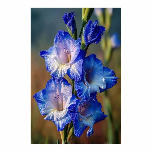 ZAMAEIU Botanische Bilder Gladiolen wandbilder, Für Wohnzimmer, Schlafzimmer, Café, Hotel usw.(blau145)-60x90cm Ungerahmt