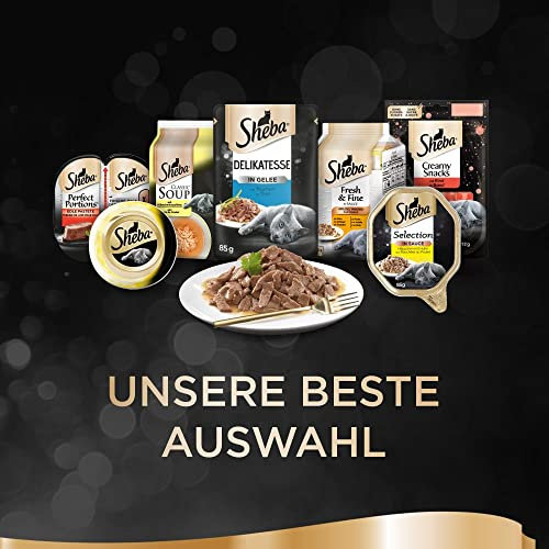 Sheba Delikatesse in Sauce – Hochwertiges Katzen Nassfutter mit feiner Truthahn – Im praktischen Portionsbeutel – 24 x 85g Alleinfuttermittel