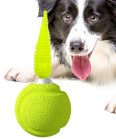 Generisch Federball Katzen Spielzeug | Katzenkinder Aktivball Mit Klang,Interaktives Trainingsspielzeug Für Drinnen & Draußen Gegen Langeweile