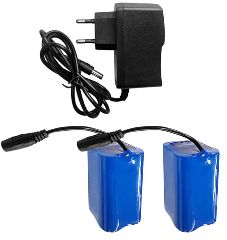 Jemora 2 Stück 12000 mAh wiederaufladbare Lithiumbatterie mit Ladegerät für Angelköderboote