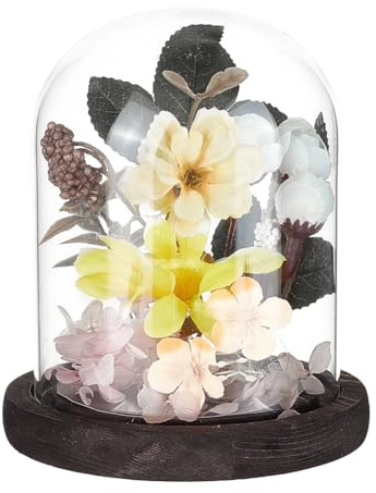 PH PandaHall Cupola di visualizzazione in vetro campana in vetro con base in legno marrone terrario decorativo per piante fiori succulenti decorazione per interni, 12 x 14,5 cm