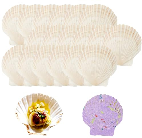 SZYLJSY 18 conchas naturales, 10 cm-12 cm, concha blanca, concha de Jacob, conchas pequeñas para manualidades, bodas, decoración de playa, fiesta temática, tanque de pescado y relleno de jarrón
