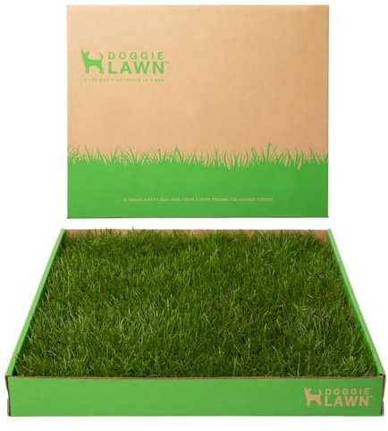 DoggieLawn Real Grass Puppy Pee Pads - Potty Training Pads for Dogs & Puppies - Indoor Grass Dog Potty for Apartments & Bad Weather - Natural Living Grass - Standard 24 x 16 Inches - Made in USA