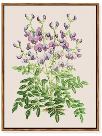 MHARTK66 Vintage Flores Cuadros Decoracion Salon Naturaleza 30x40 cm | impresión hd detallada, fácil de colgar, instalación rápida, utilizable en distintos ambientes, una buena opción de regalo