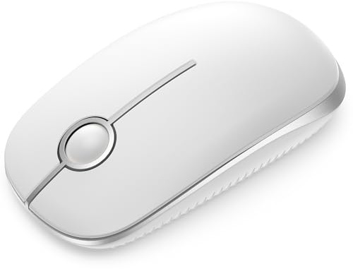 Seenda Wireless Mouse, Silent with 2.4G USB Receiver, White and Silver | 18-Month Battery Life, 1600 DPI Optical Tracking, Ambidextrous, Portable for Laptop/PC/Computer/Notebook