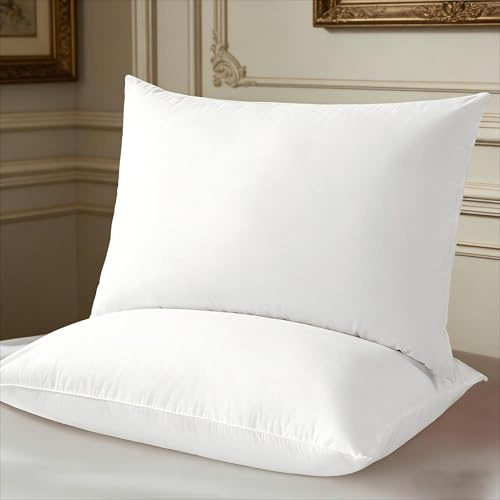 Shilucheng Goose Down Pillow Queen Size Set of 2 Pack,Hotel Collection 900+ Fill Power Luxury Bed Feather Pillow for Side Back Stomach Sleepers, Soft 100% Cotton Shell（White,20 x 30）