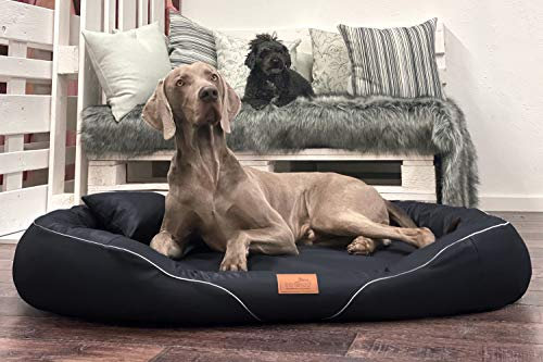 tierlando® Orthopädisches Hundebett Tiffany Easy CLEAN aus Kunstleder – für große Hunde (XL XXL) – allergikerfreundlich mit Anti-Haar-Oberfläche und Memory Foam – Größe: 145x105 cm Farbe: 03 Schwarz