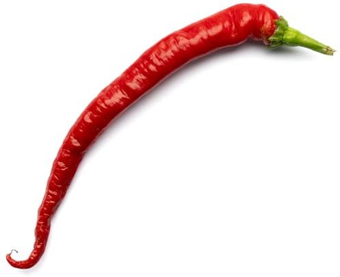Corbaci x 10 Chilli Seeds