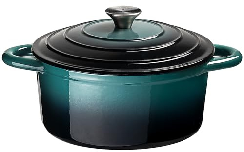 Prochef Casseruola rotonda in ghisa smaltata con coperchio, 26 cm, resistente, adatta per forno e piano cottura, facile da pulire, ideale per pasti in una sola pentola, curry, arrosti e cottura in