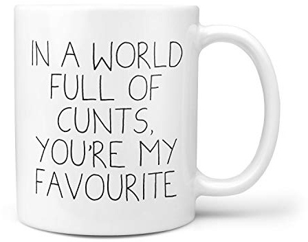 in A World Full of Cunts, You're My Favourite Mug - Profanity Mugs Insult Saying Friend Funny Gift Shut Up Birthday Office Secret Santa Profanity Rude ©TeheGifts