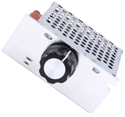 Homoyoyo controllore scr termostato termostati stufina elettrica scaldabagni elettrici fornacella elettrica controller del regolatore di tensione Regolatore di tensione 4000w Silver