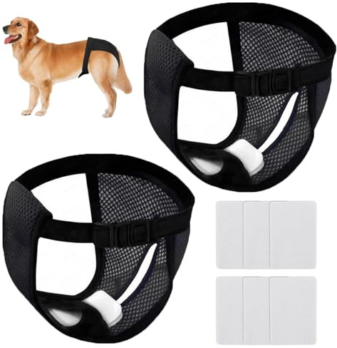 Läufigkeitshose für Hündinnen, Höschen für Hunde Läufigkeit, 22-teiliges Set mit Hundewindeln für Hündinnen, Hunde Periodenhöschen, Schutzhose Hündin, Größe L, Schwarz ﻿