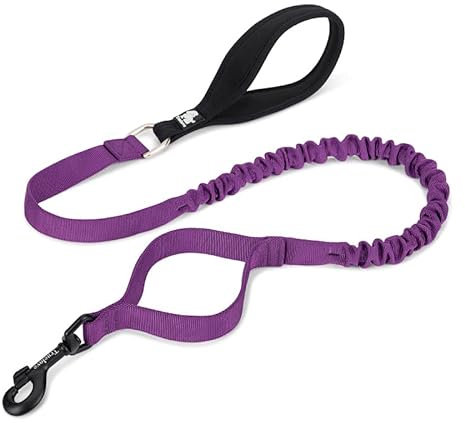 WINHYEPET Truelove TLL2281 Hundeleine, flexibel, explosionsgeschützt, elastisches Seil, kontrolliert, groß, stark und stark, kompatibel mit allen Truelove Geschirre und Halsbändern