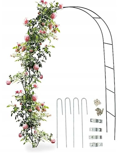 MIKONI Rosenbogen 240x140x38cm Metall Pergola Rankhilfe Rosensäule Rankgitter Grün Rankgerüst wetterfest