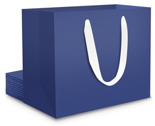 EUSOAR Papiertüten Blau - 10 Stück Geschenktaschen mit Henkel Klein - 230GSM Dunkelblau Kraftpapier Tüten S 22x10x18 cm - Navy Blue Paper Gift Bags Elegant - Geschenktüte Blaue