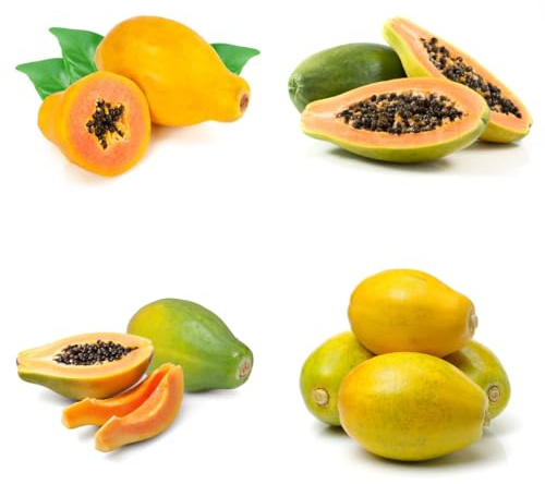 melonenbaum papaya - säulenobst balkonpflanzen, bio exotische winterhart gartendeko für draußen 5samen