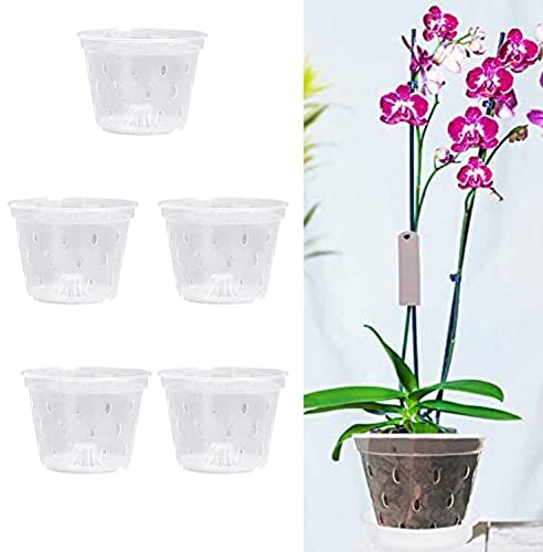 Confezione da 5 vasi in plastica trasparente per orchidee da 12,7 cm, con fori, 12,5 x 9,2 cm