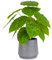 Veryhome Planta artificial artificial en maceta, plantas suculentas falsas en maceta de 32 cm, planta verde falsa grande para decoración del hogar, escritorio, sala de estar