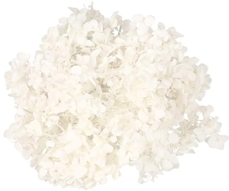Zerodeko 20 G De Fleurs Dhortensia Séchées Blanches Naturelles Pétales Dhortensia Préservés pour Lartisanat