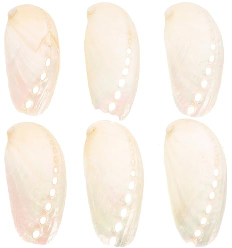 TOYANDONA Lot de 6 Coquilles D’Ormeau Naturelles 4-6 CM Décorations Océaniques en Nacre pour Mariage Plage Ornements pour Aquarium et Aménagement Paysager Style Bord de Mer