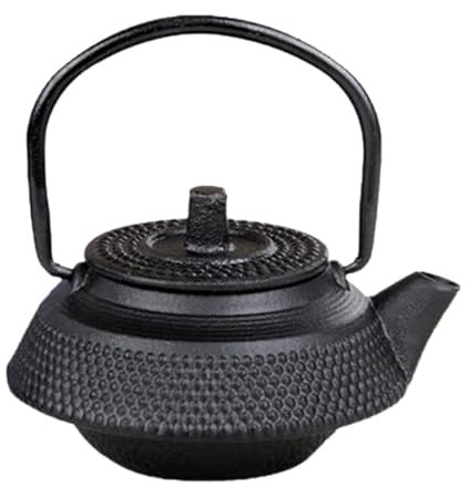 CHANWA Mini Tetera de Hierro Fundido Estilo japonés Tetsubin Tetera pequeña Tetera 50ml