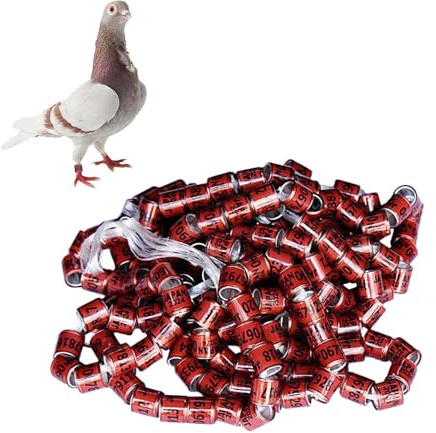 100 Stück Taubenringe Vogel Taube Bänder Taubenfußringe Wachtelringe Hühnerringe Tauben Fußringe Bein Bänder Wachteln Hähnchen Beinringe Identifizierung Ring Geflügel Band Klemmringe Zum Markierung