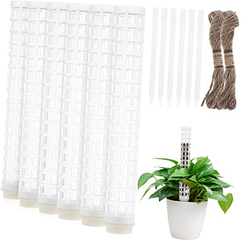 ifundom 6 Piezas De Sphagnum De para Plantas De Interior Soporte para Plantas Monstera Material De Jardinería