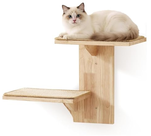 Katzen Wandelemente mit 2 Plattform, 41 cm Kletterwand Katze mit Matte zum Klettern, Spielen, Kratzen (Verschleißfeste Matte)