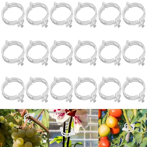 XIAGAW Pflanzenstützklammer, 100 Stück Tomatenclips, Pflanzenklammern Klein, Pflanzenclips Kletterhilfe Pflanzen, Tomaten Rankhilfe Klammern, Kunststoff Tomatenklammern für Kletterpflanzen (Weiß)