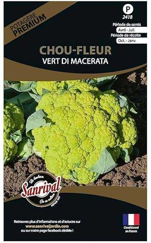 Graines potagères Premium Chou Chou Fleur Vert Di Macerata