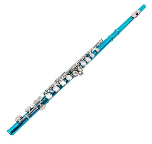 Querflöte Instrument 16-Loch-C-Tonart-E-Tonart-Flöte Mit Geschlossenen Löchern Für Anfänger Für Üben Des Spielens Von Musikinstrumenten(B)